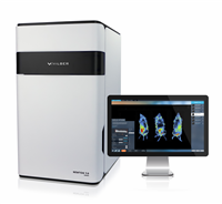 Newton7.0 VIVO小動物活體成像